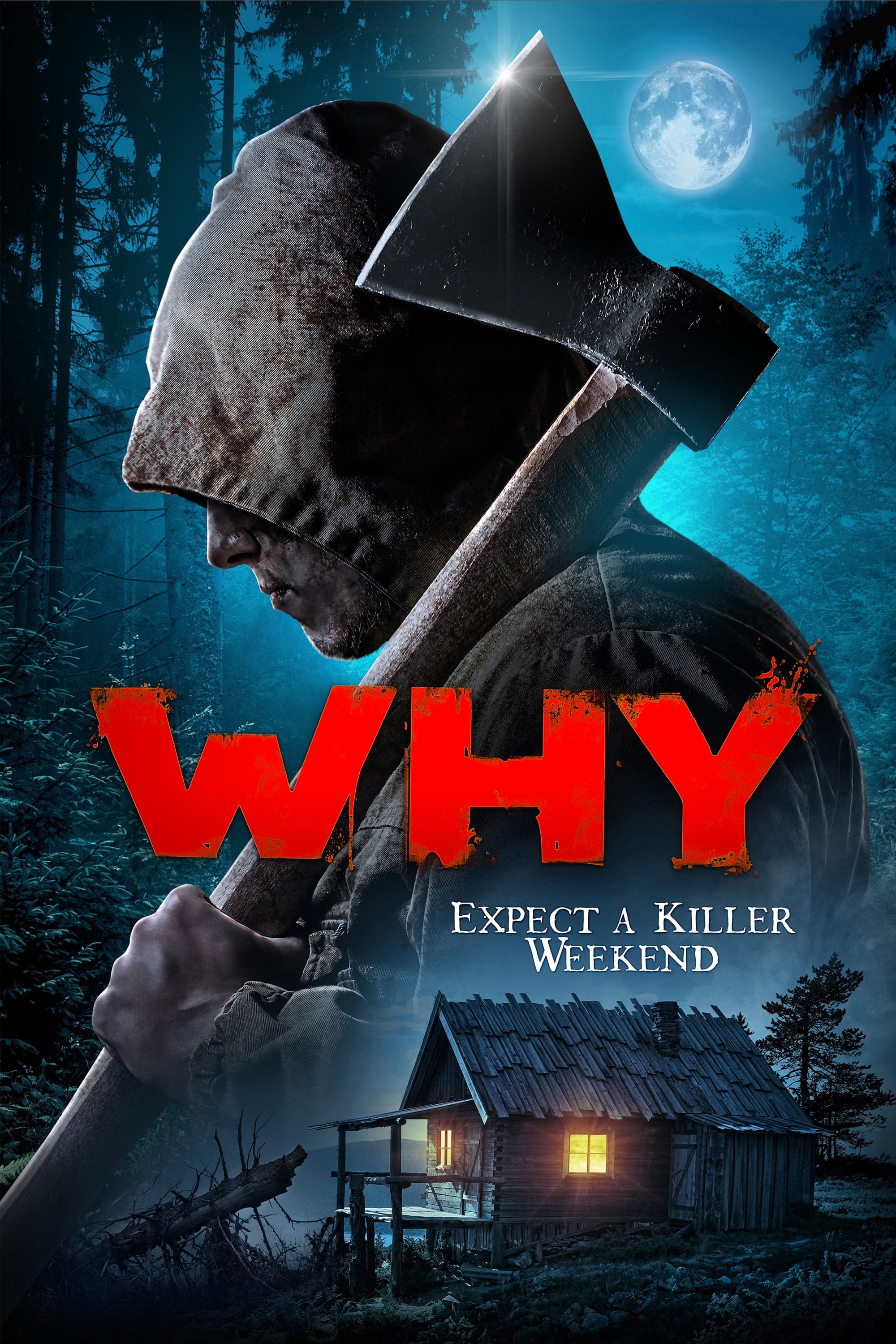 Постер Why?